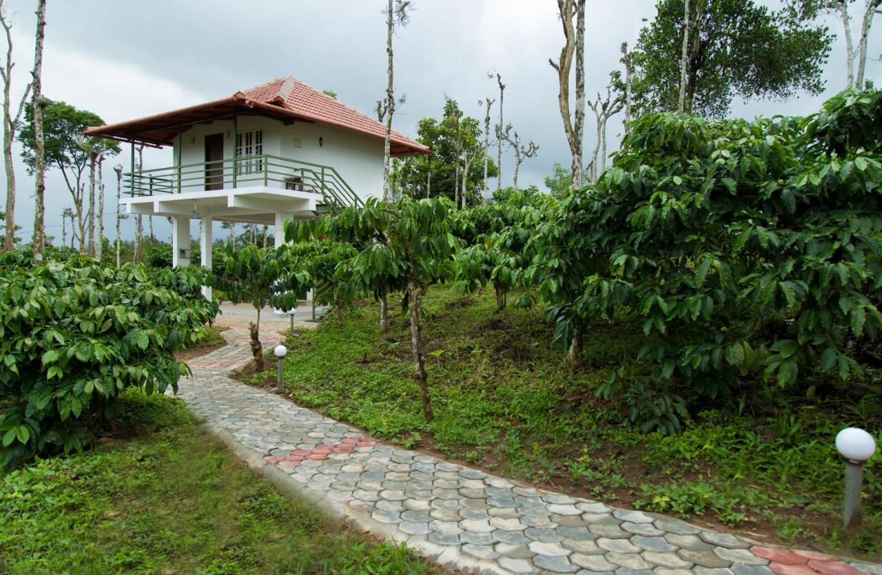 The Suvistara Wayanad Kerala Bed & Breakfast Meenangadi Exterior photo